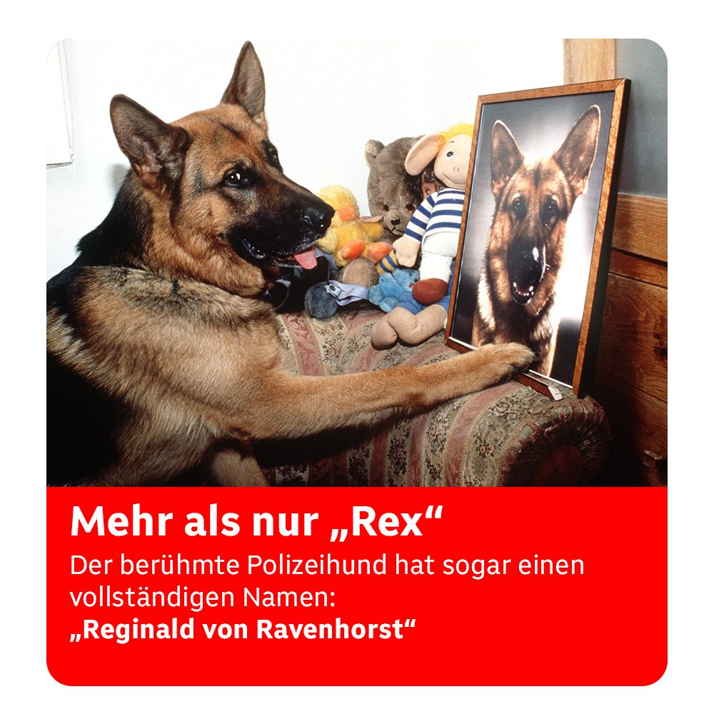 Kommissar Rex