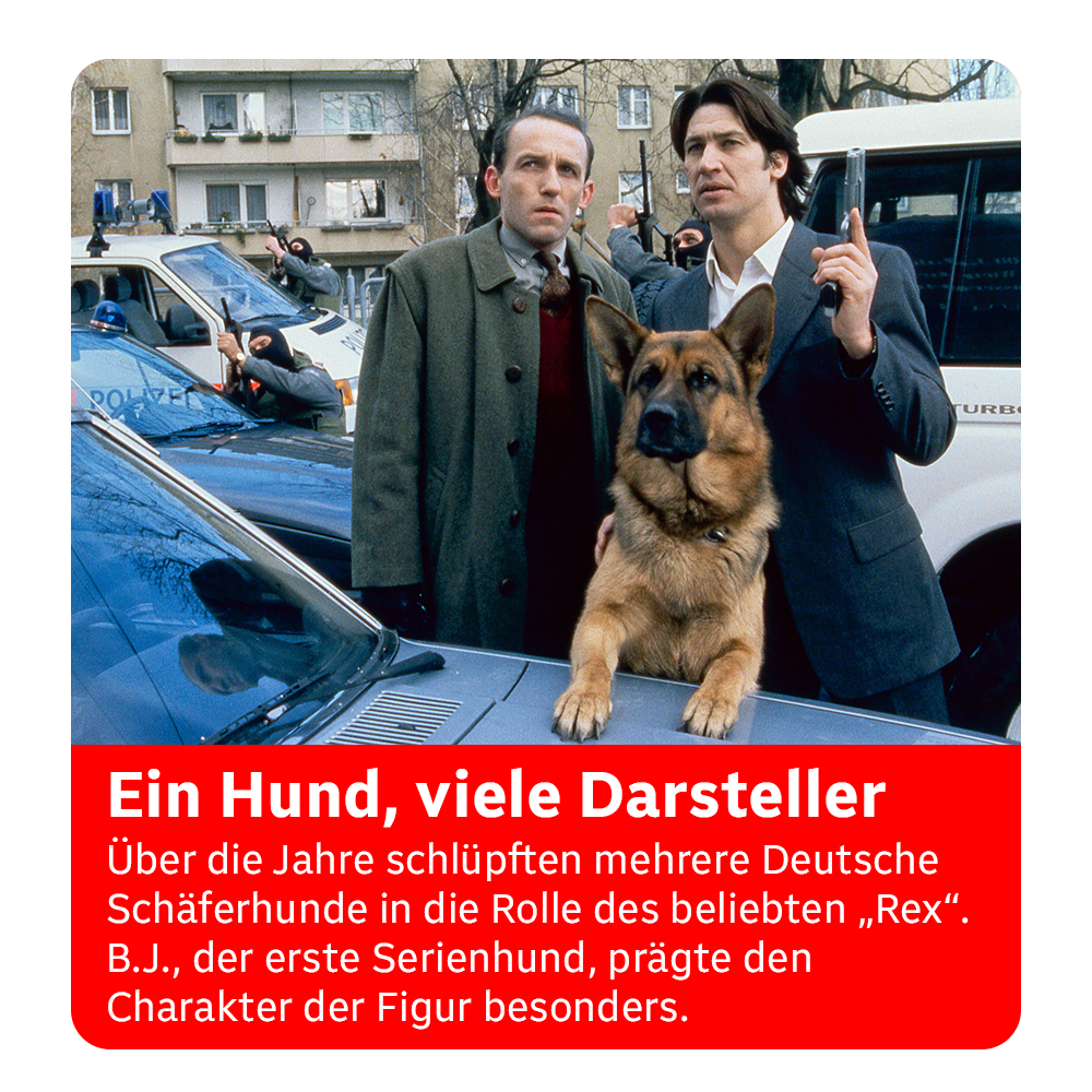 Kommissar Rex