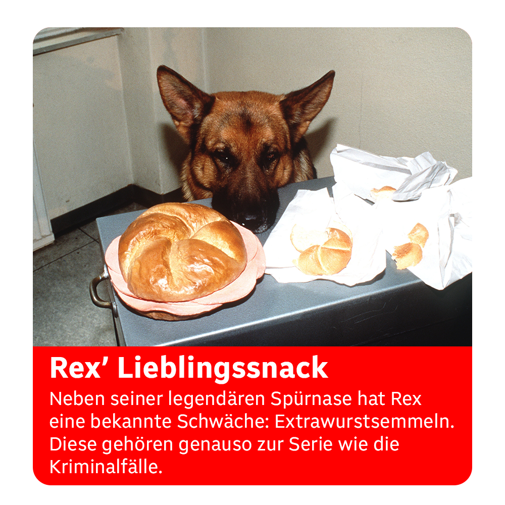 Kommissar Rex