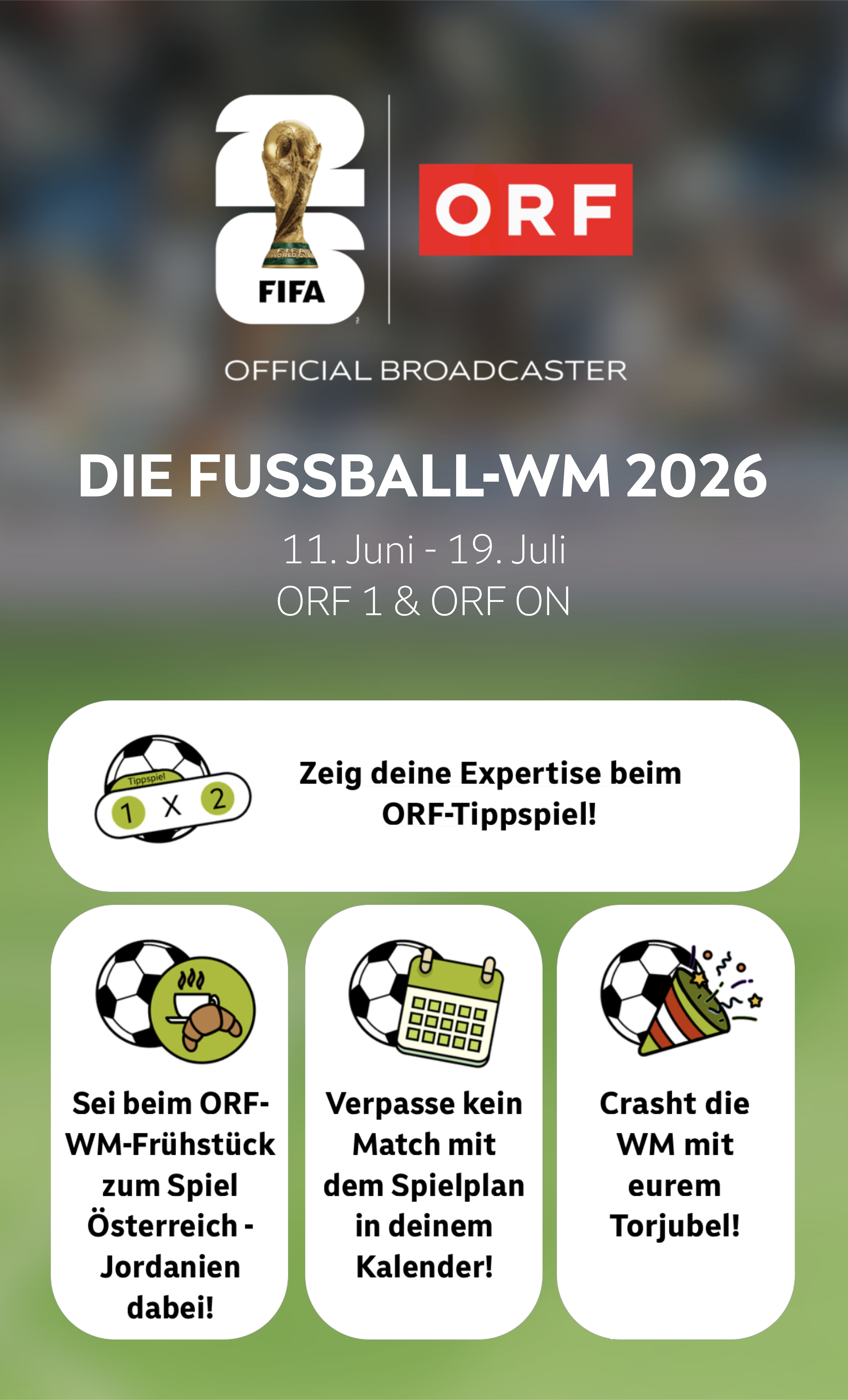 Zu den WM-Aktionen