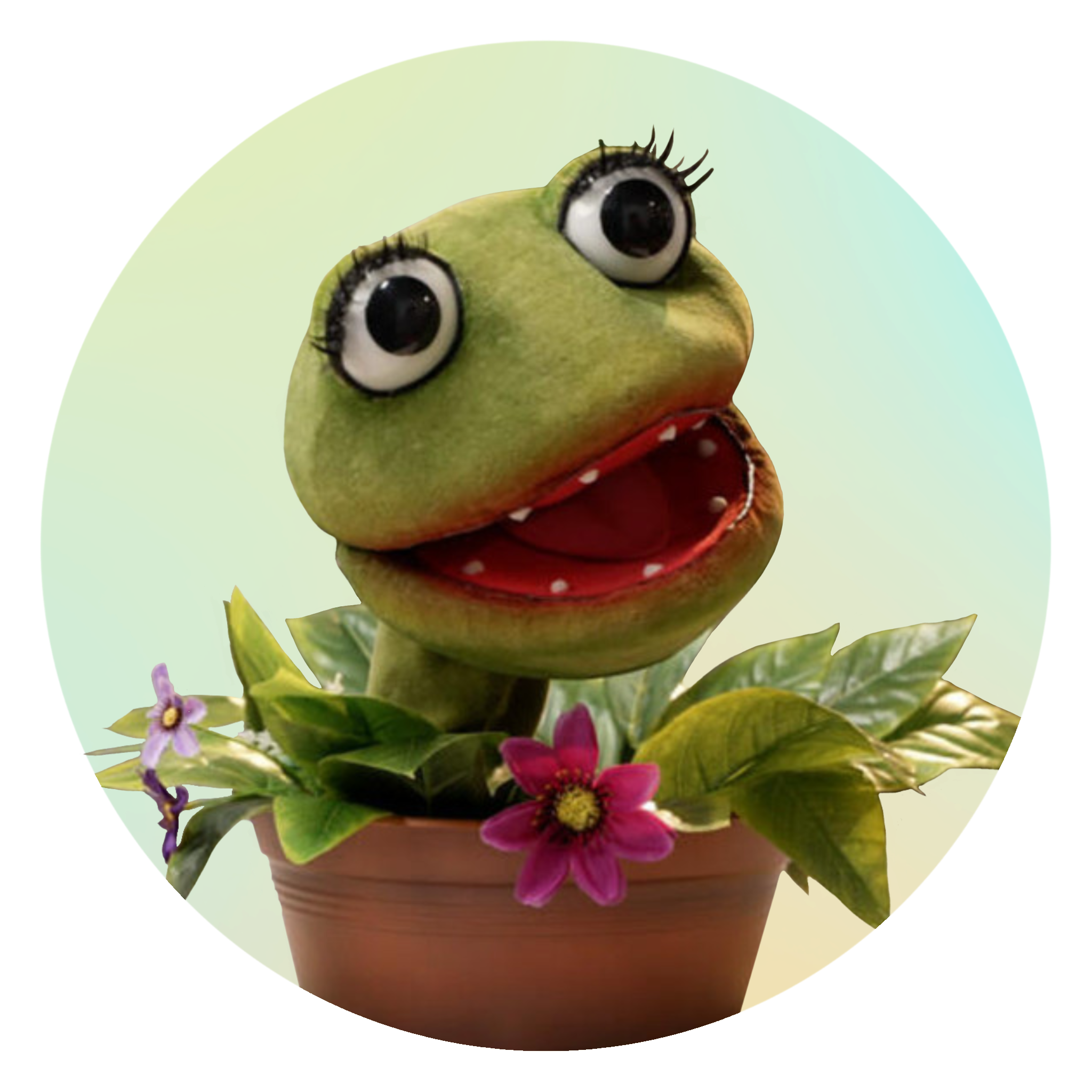 Die sprechende Pflanze 'Lila Grasgrün' vor einem grünen Hintergrund